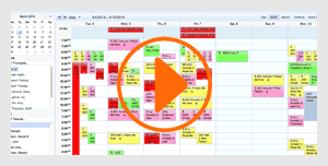 Therapist appointment scheduling software